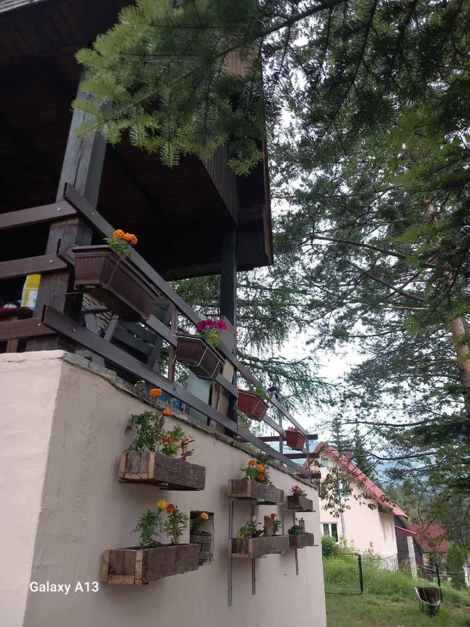 Villa Vikendica Malovic Žabljak Exterior foto